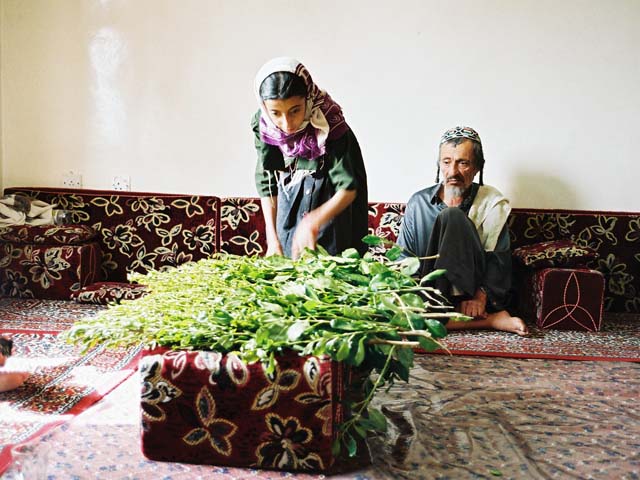 YemenJews